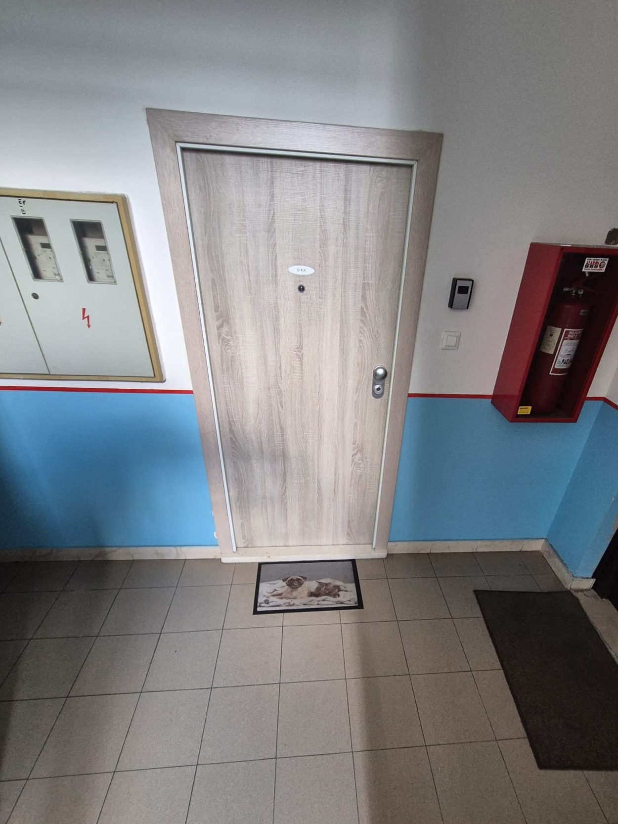 Sika Solin apartment door on the first floor