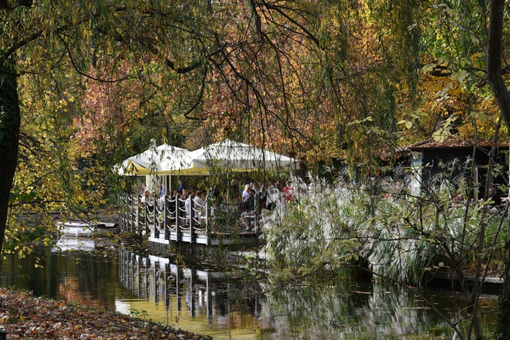 Outdoor café terrace beside a still pond, surrounded by golden autumn trees on the Croatian coast